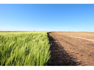 Tract 3 - Edwards County, KS farmland - LAND AUCTION - 647+/- ACRES OFFERED IN 4 TRACTS IN RENO & EDWARDS COUNTY, KANSAS